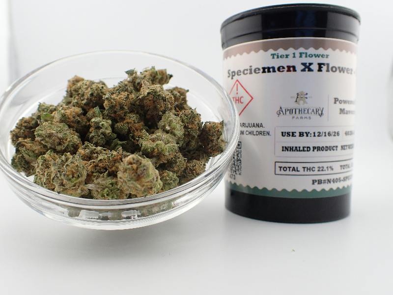 Specimen x Tier 1