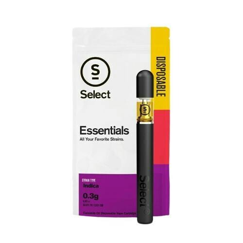 Gelato Essentials All-In-One [0.3g]