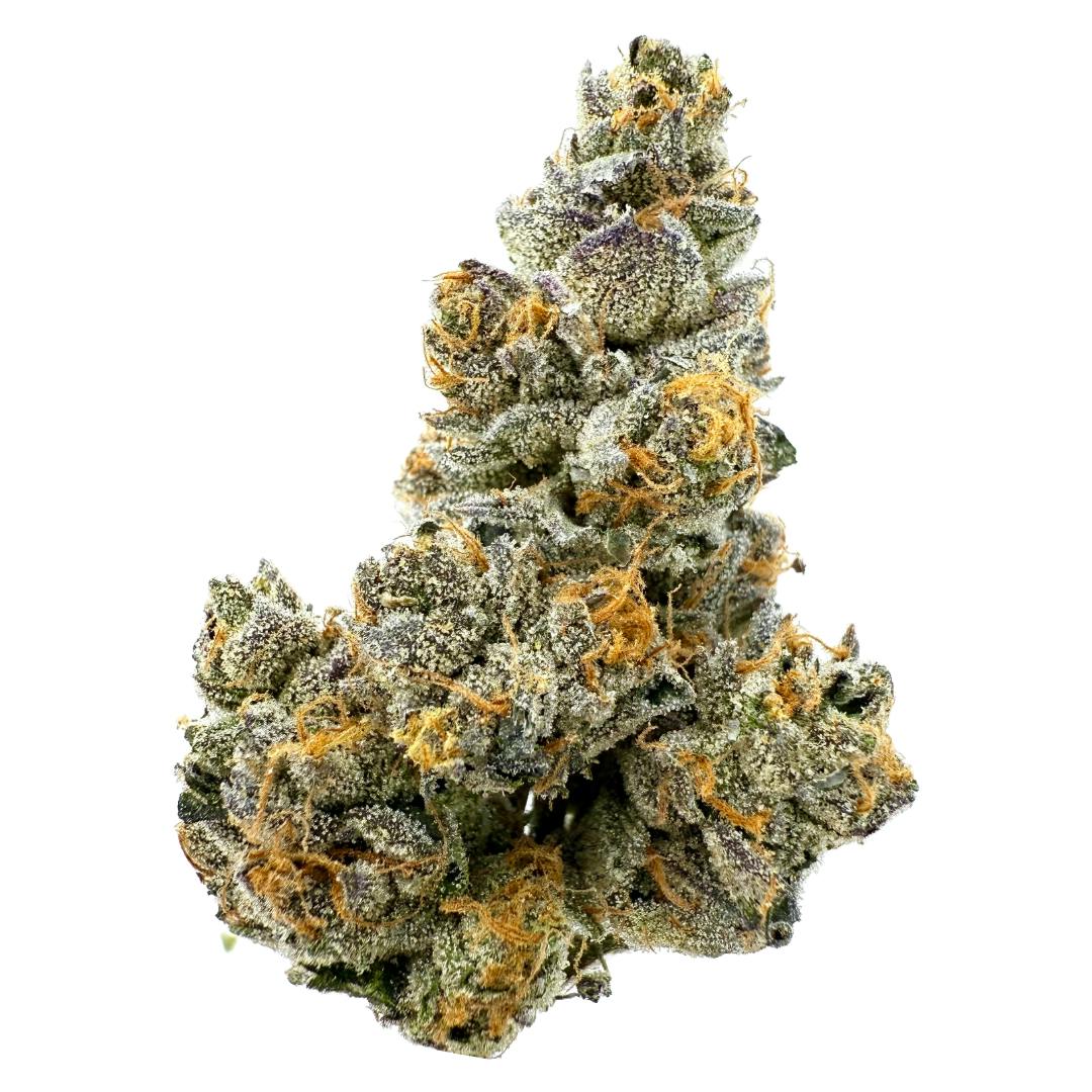STONE FRUIT 14G