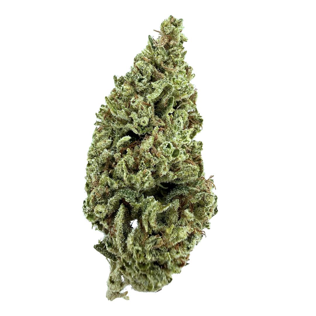 FIRE HORSE OG 14G