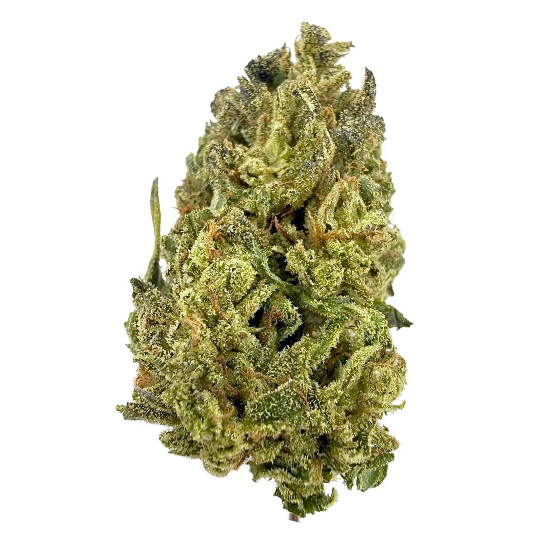 OPEN SESAME 3.5G
