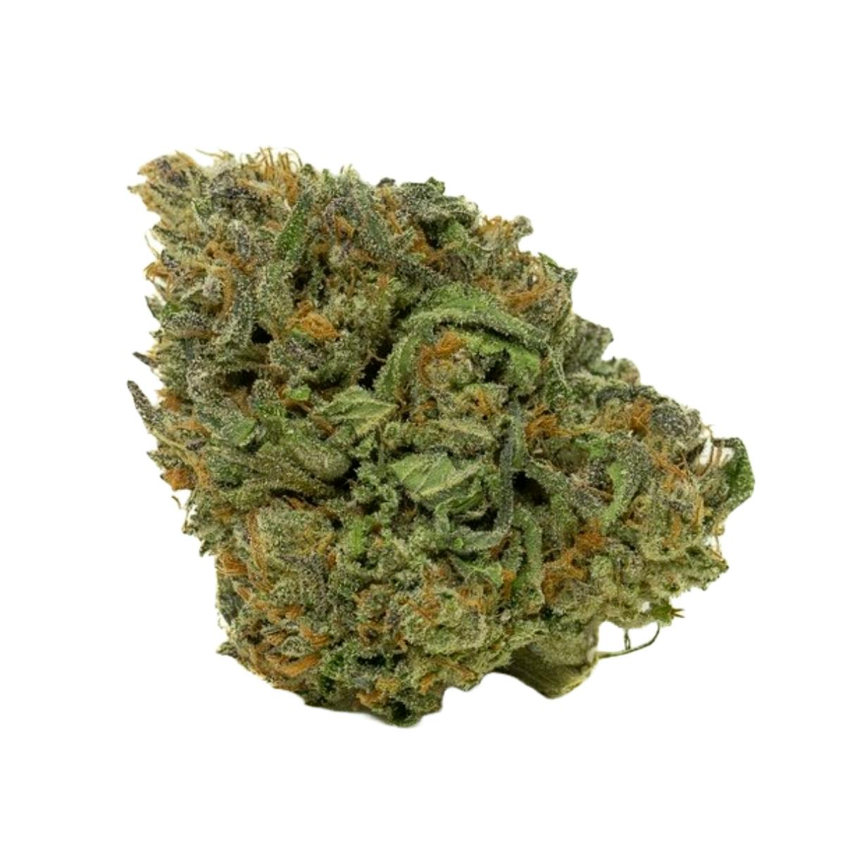 MOON DOG 14G