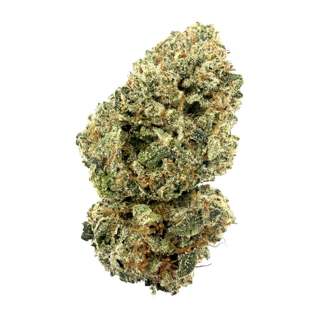 GORILLA: Dog #4