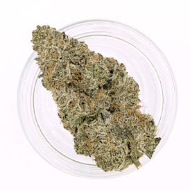 Meowy Jane | Calico Cookie 3.5 Grams