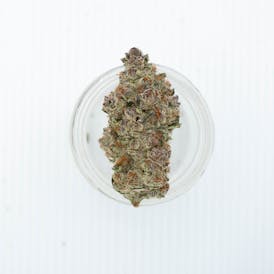 Meowy Jane | Face Fruit 3.5g