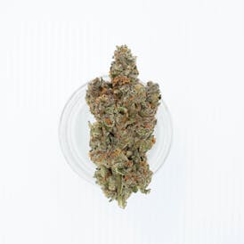 Meowy Jane | 69 Lives 3.5 Grams