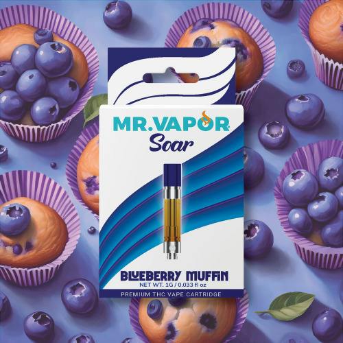 Mr. Vapor Soar 1g Cart Lush Ice