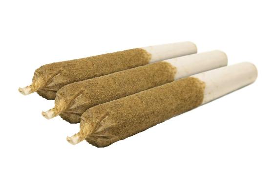 General Admission - Distillate Pre-Roll Taster Pack - 3x0.5g