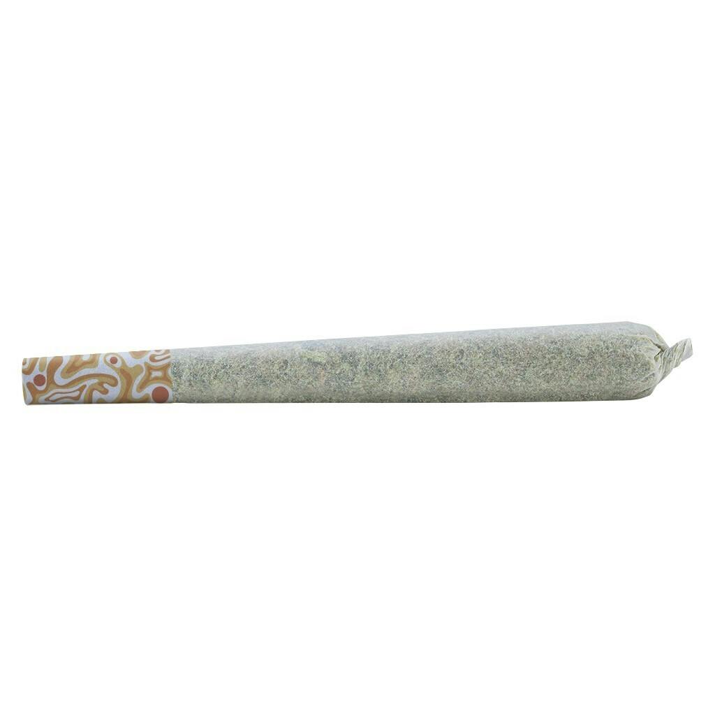 SHRED - Tangerine Machine - Hybrid - 1x1g