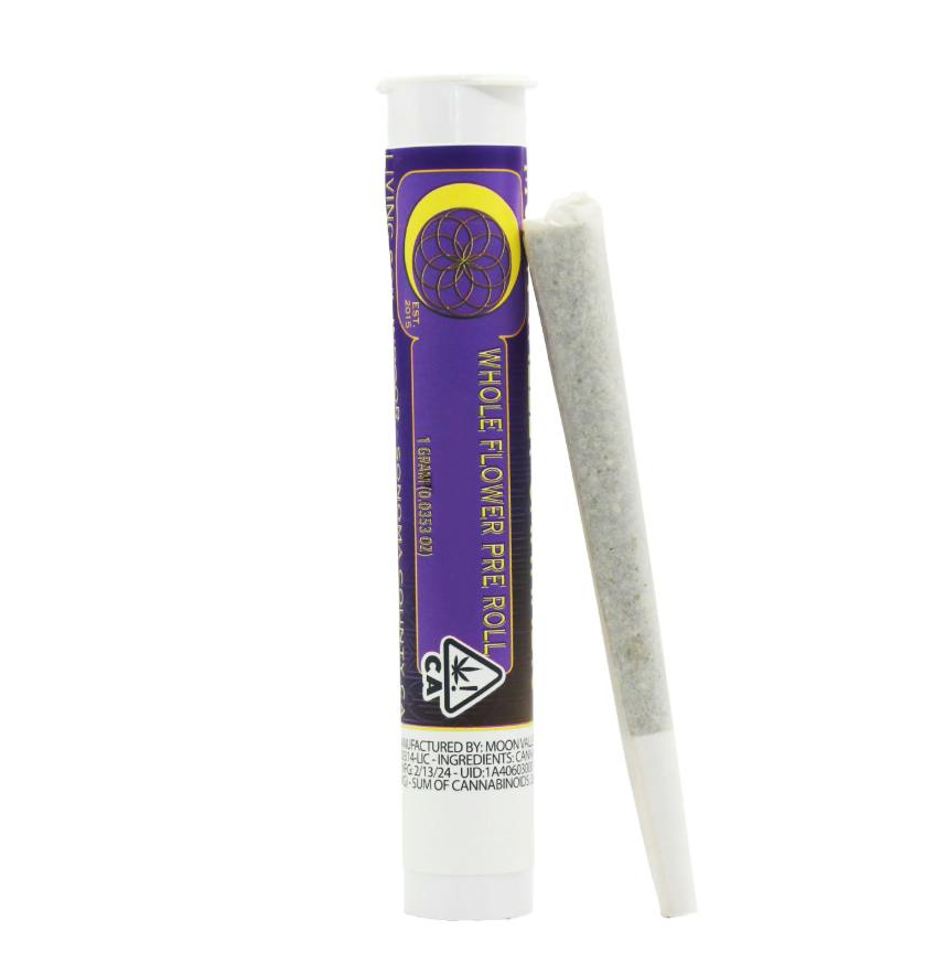 WHITE ZLUSHIE PREROLL SINGLE 1G