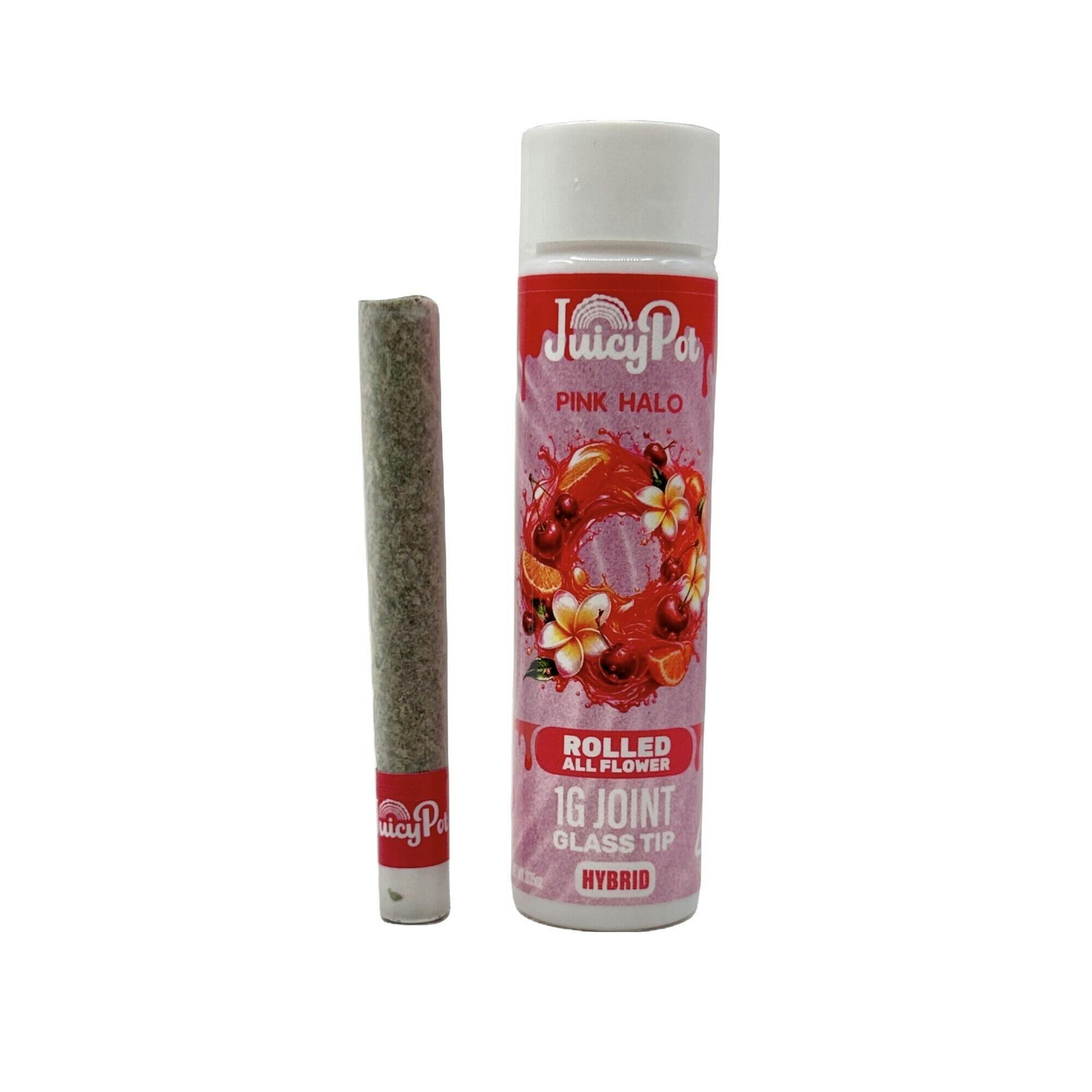Pink Halo Preroll Single 1G