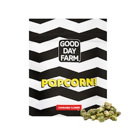 GDF: Popcorn Flower | Double Dream