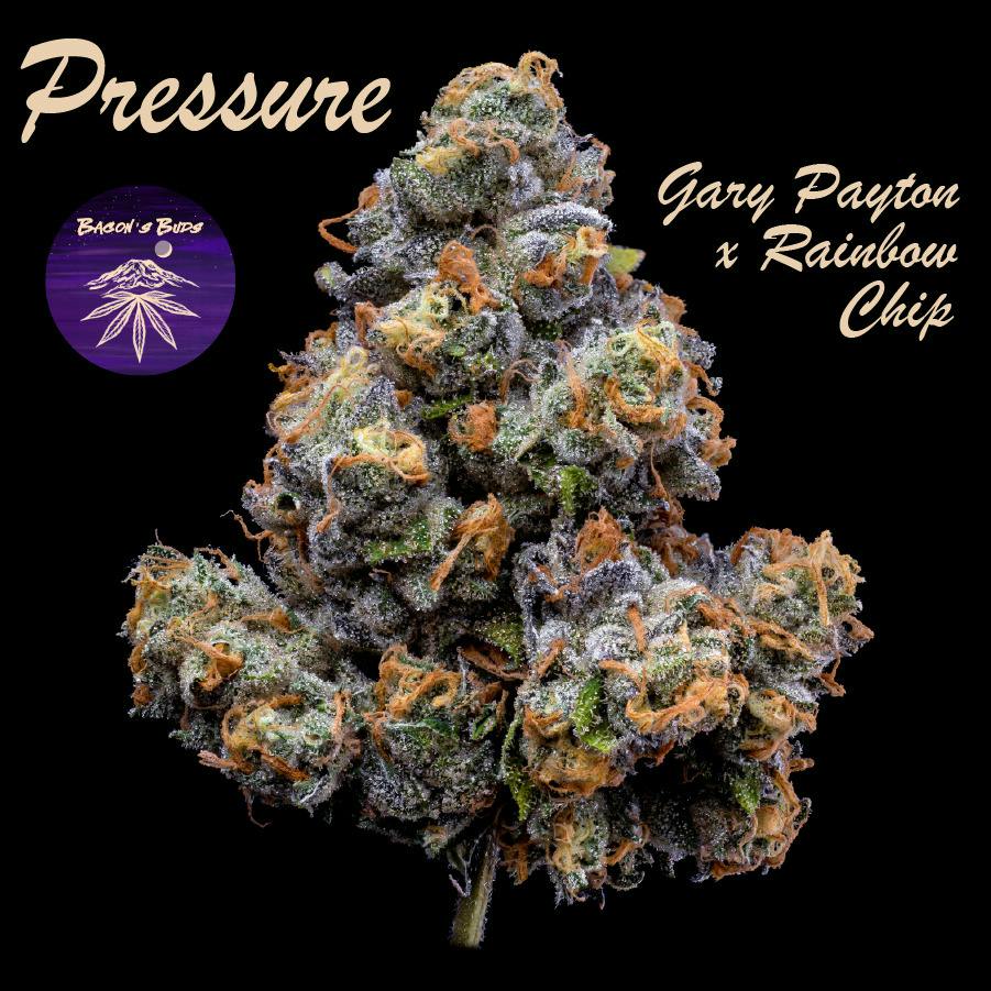 Pressure (DOH)