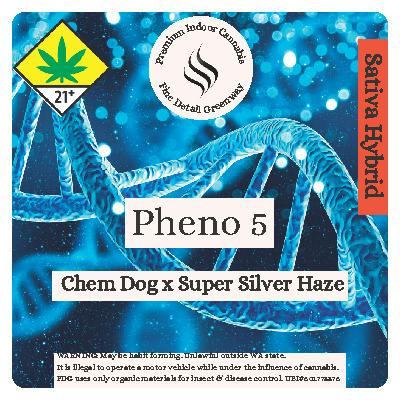 Pheno 5