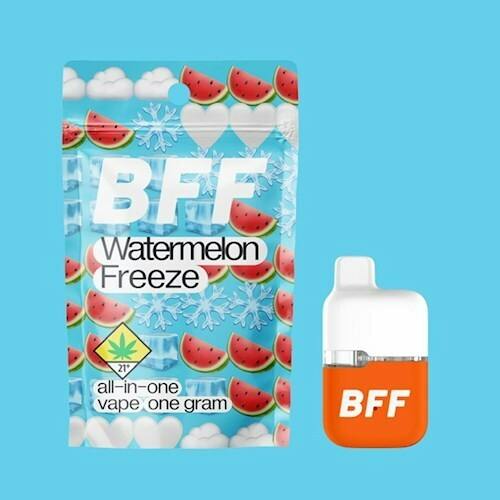 Watermelon Freeze BFF Disposable | 1g (DOH)