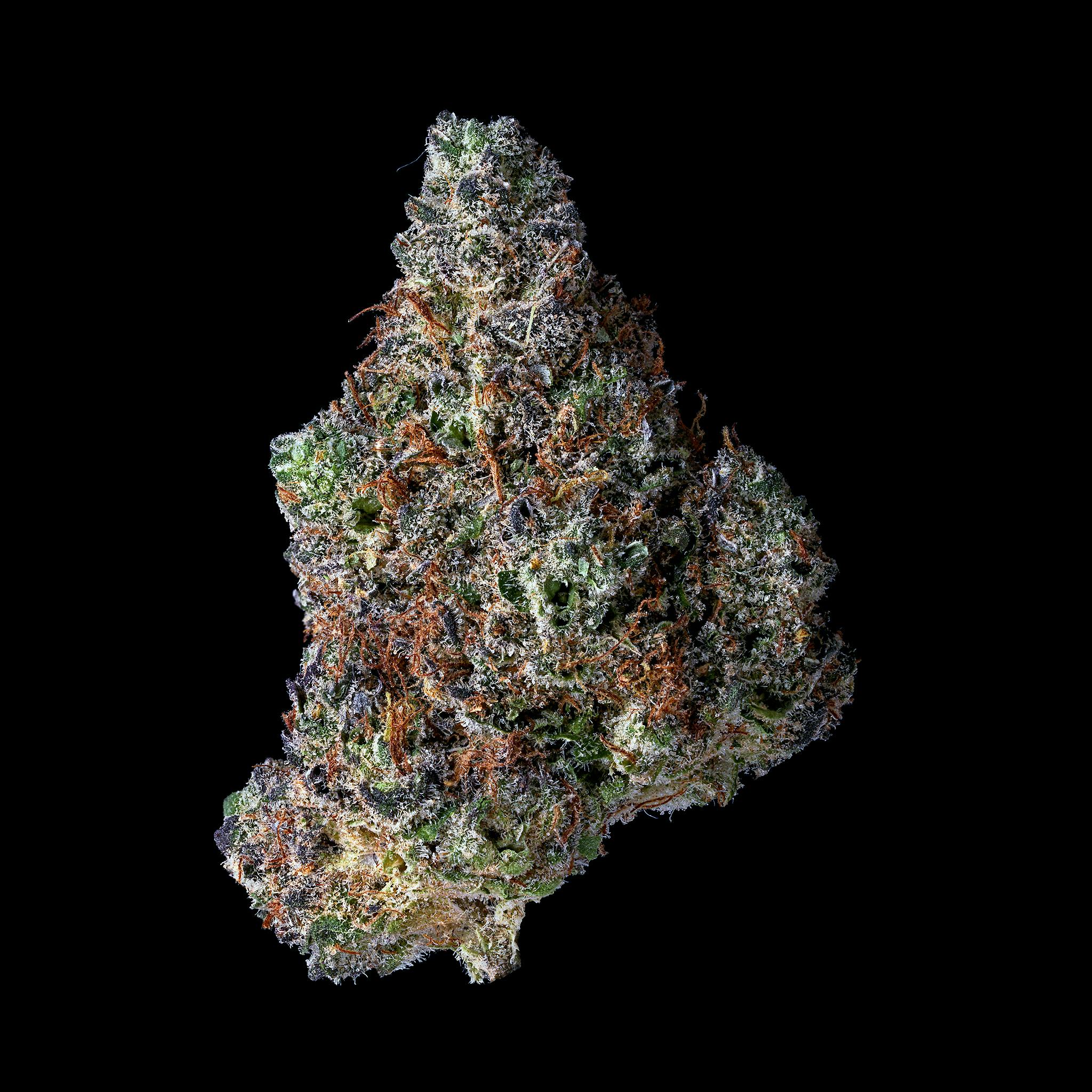 Mimosa (DOH)