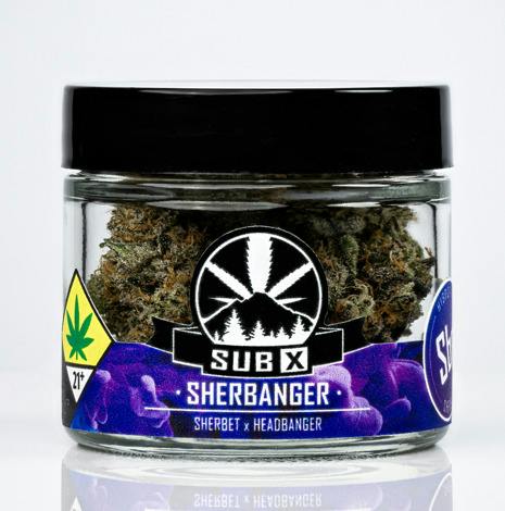 Sherbanger | 3.5g (DOH)