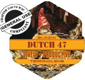Dutch 47 Capsules 10-pack (DOH)