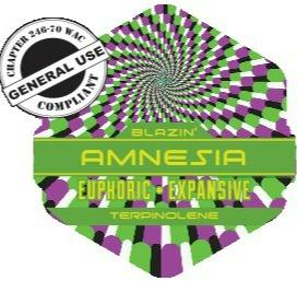 Amnesia Capsules 10-pack (DOH)