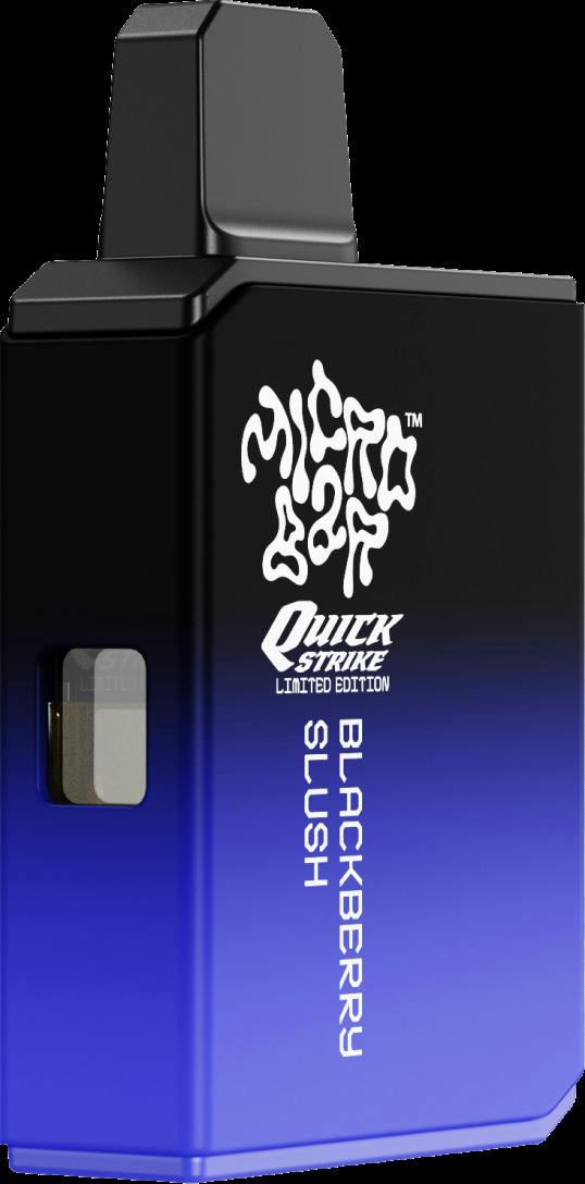 Blackberry Slush Disposable Vape | 1g (DOH)