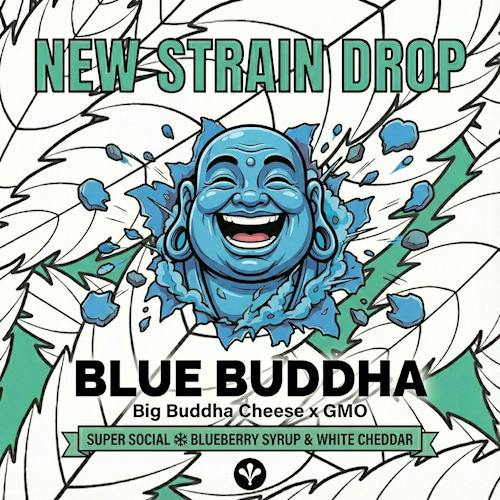 Blue Buddha Pre-Roll 2-pack | 1g (DOH)