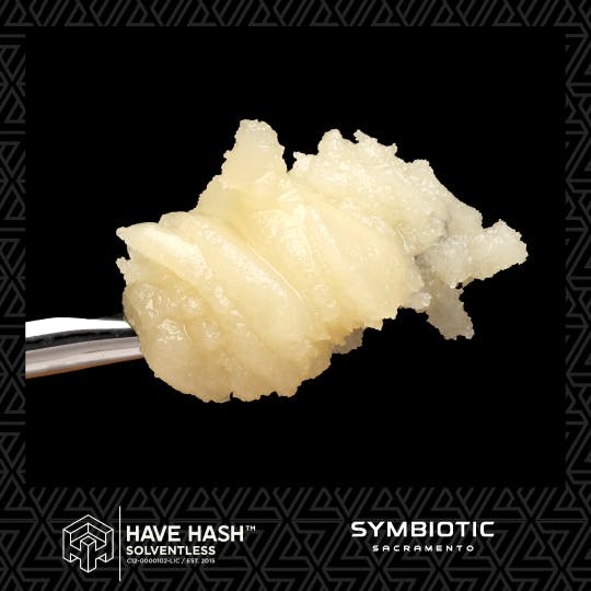 Have Hash: Lemon Ogz