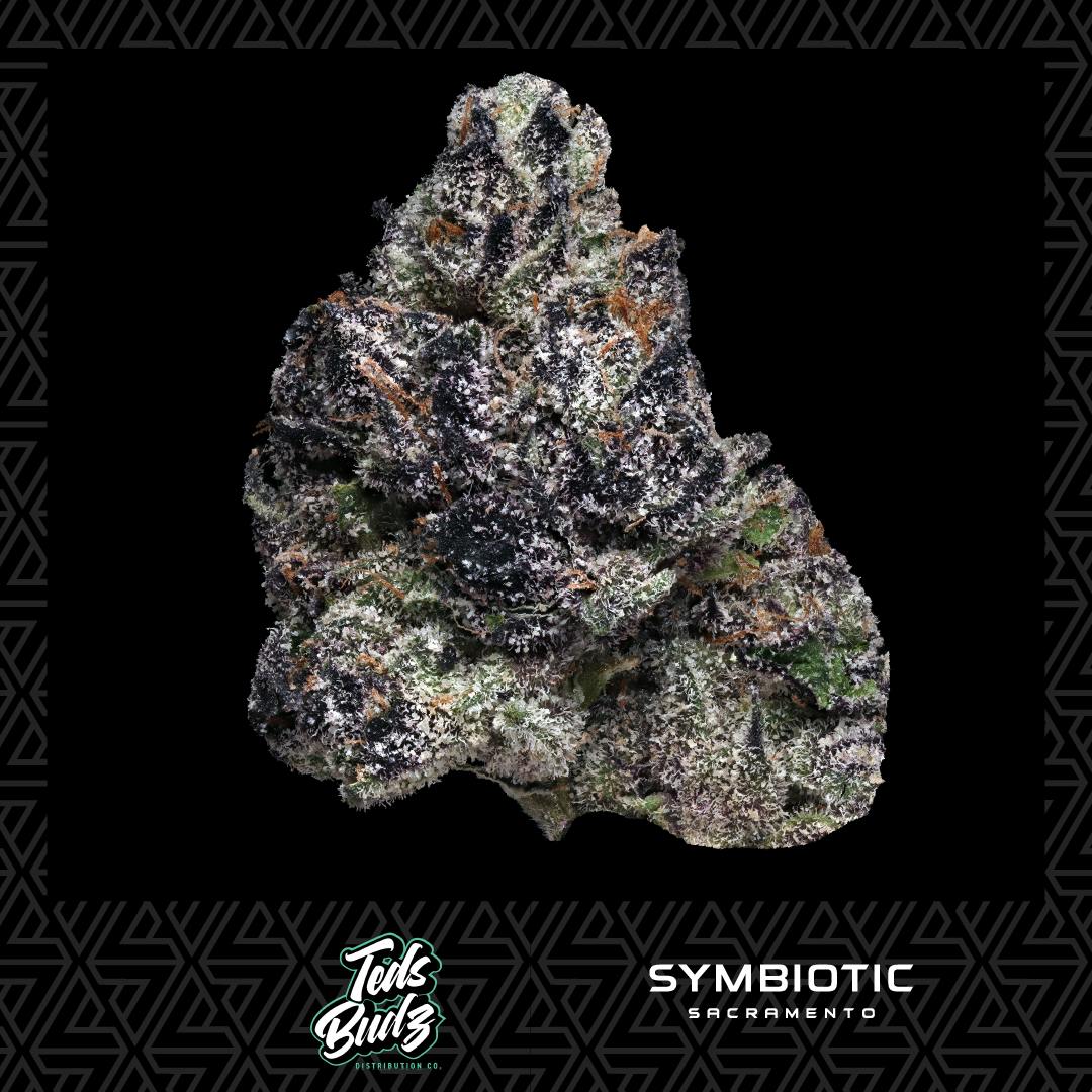 Ted's Budz — Black Fish
