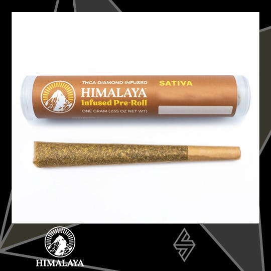 Himalaya — Lemon Pluot