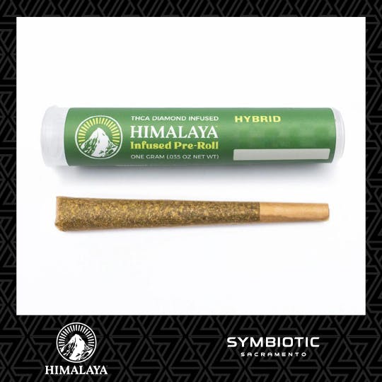 Himalaya — Tropicana Cherry