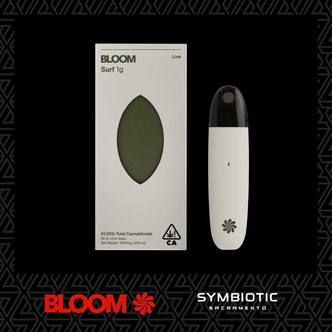 BLOOM — Pink Mimosa