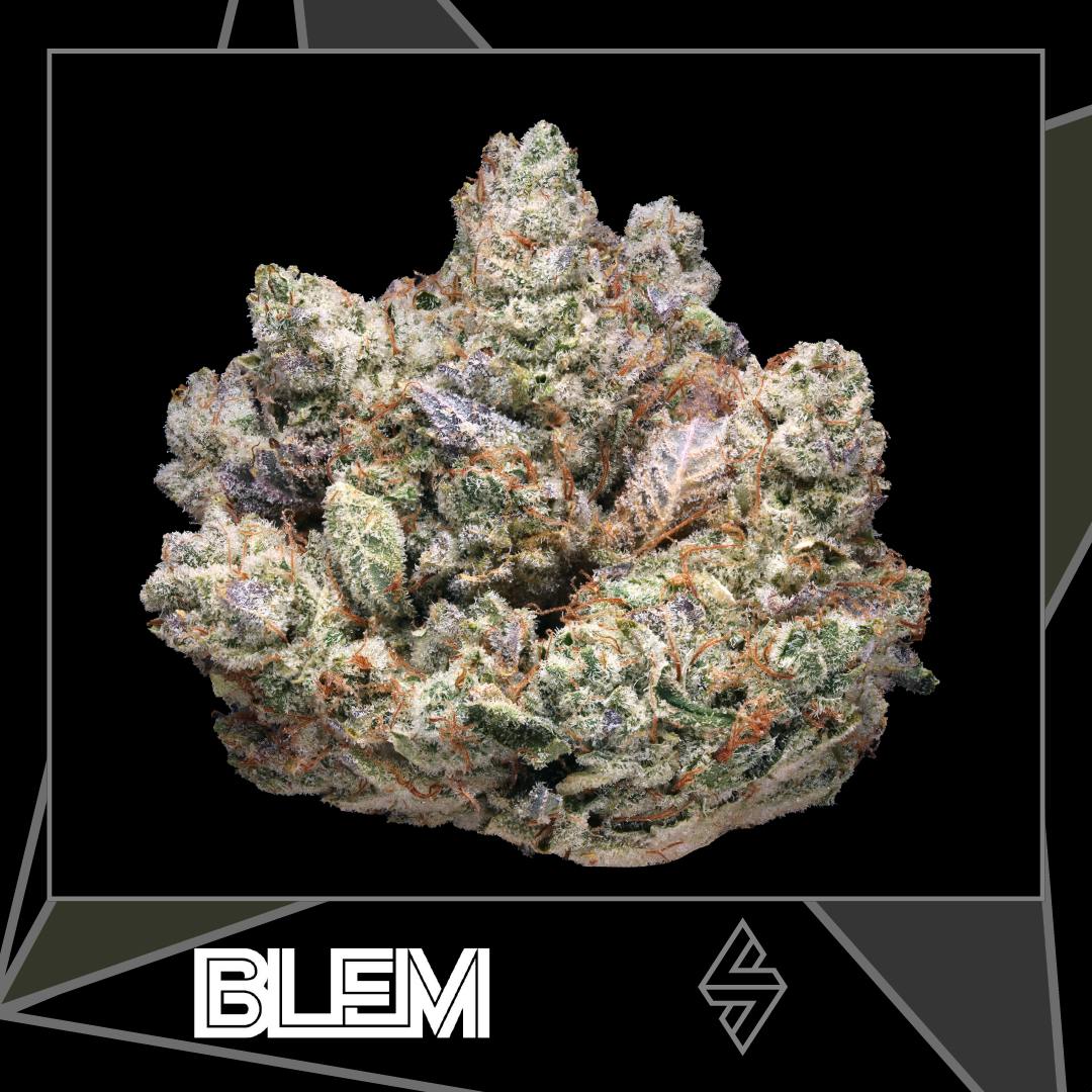 BLEM — Gludaz