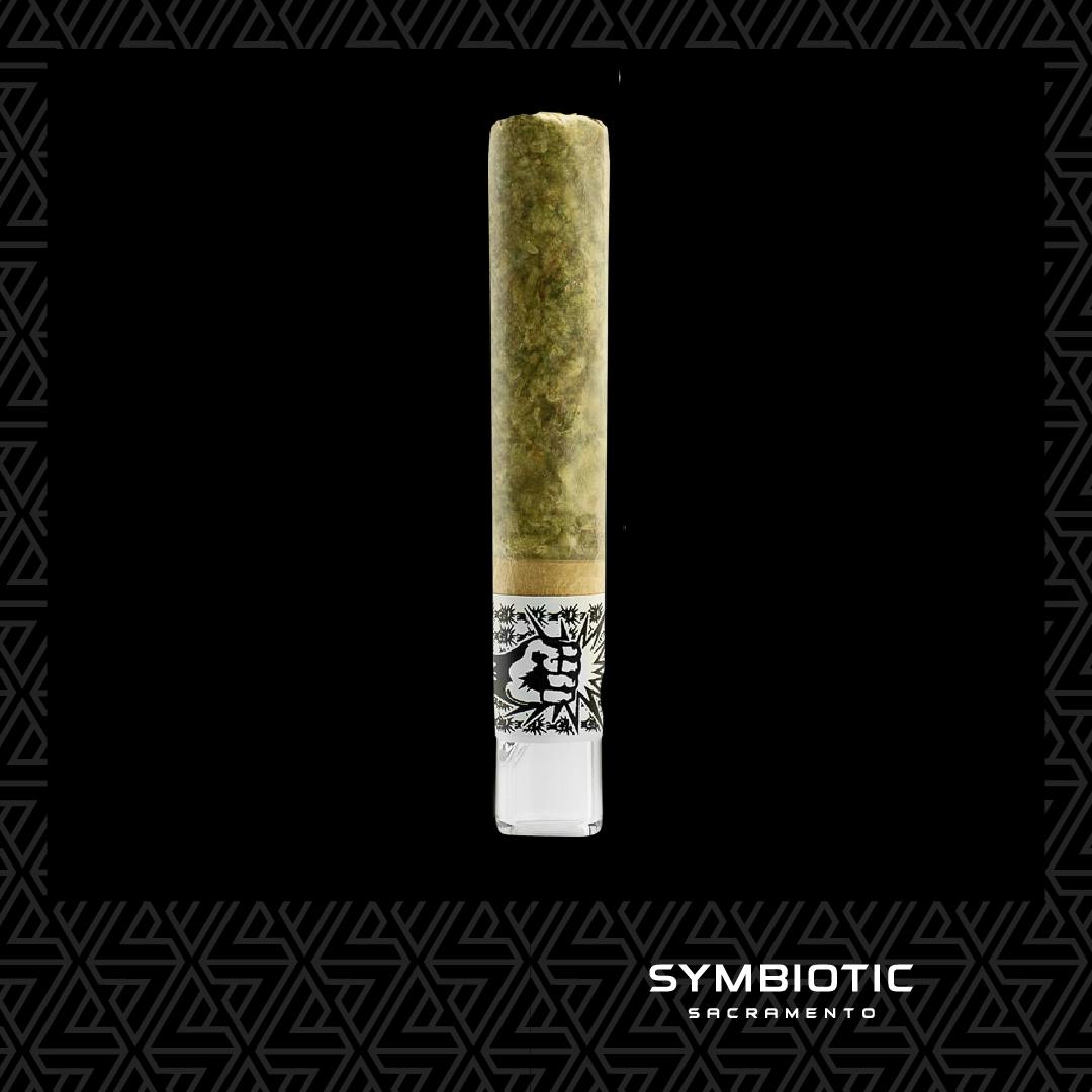 PUNCH EXTRACTS X CAM — Mystery Machine X Red Ringz