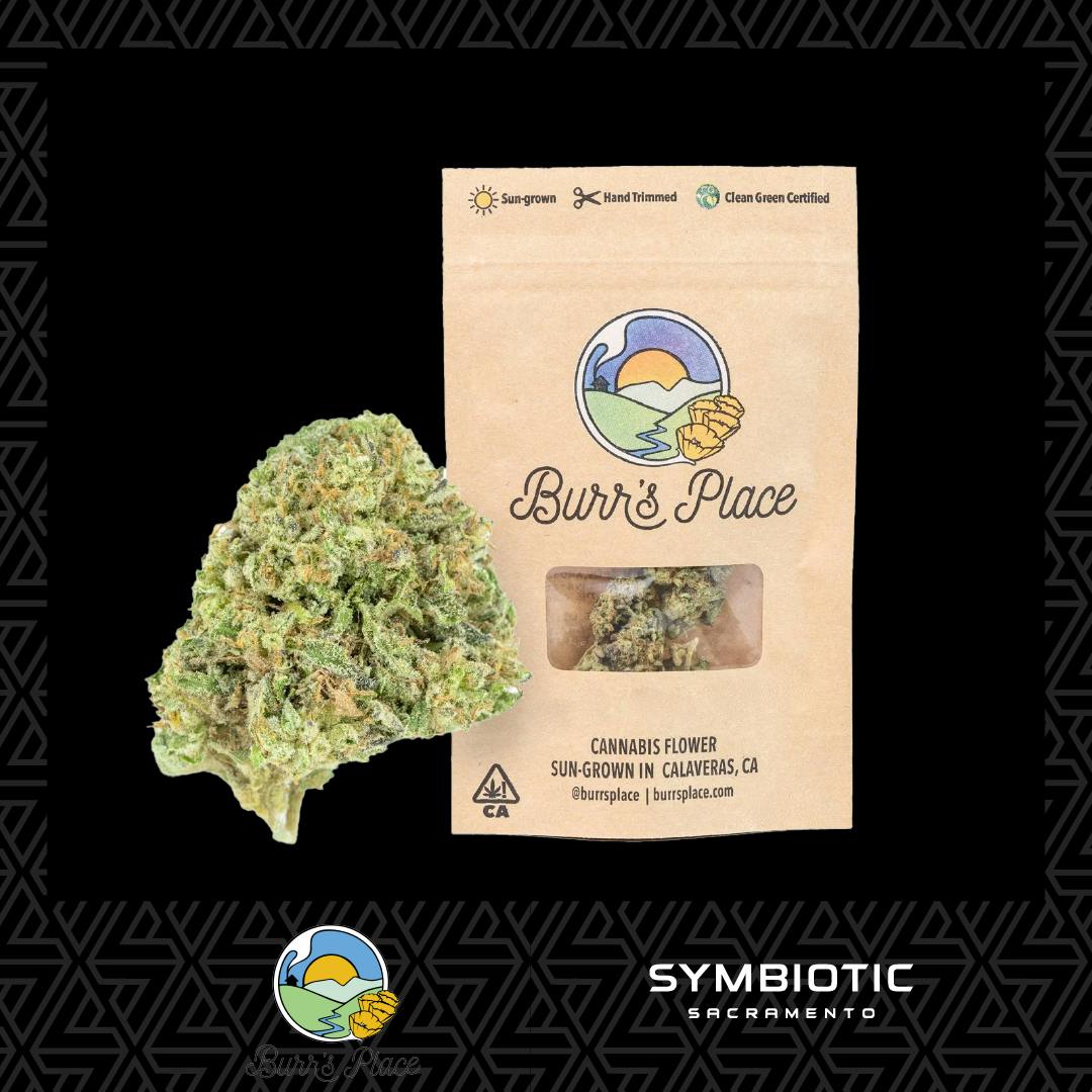 Burr's Place — Gelato Kush