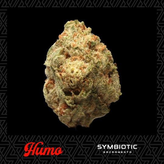 Humo — Papaya