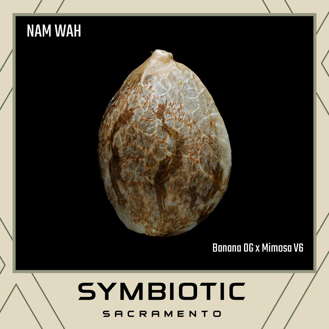 Nam Wah