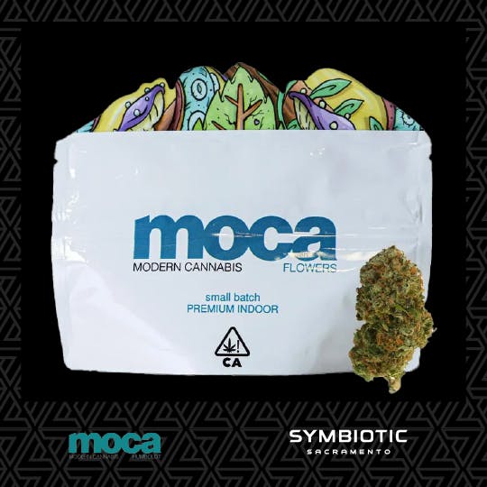 MOCA — Dome Piece