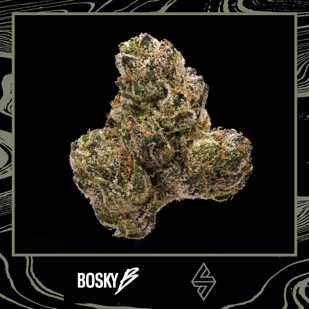 Bosky — Cherry Ztripez