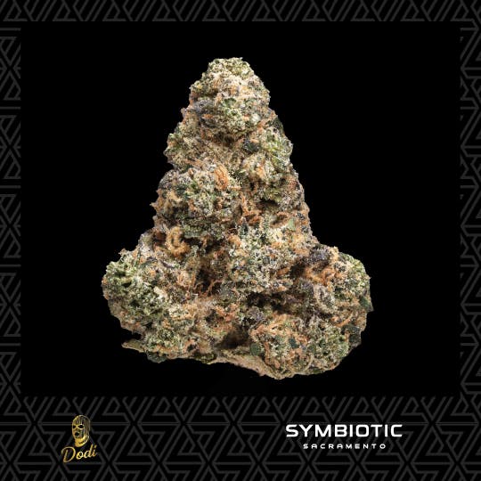 DODI — Beast Berry