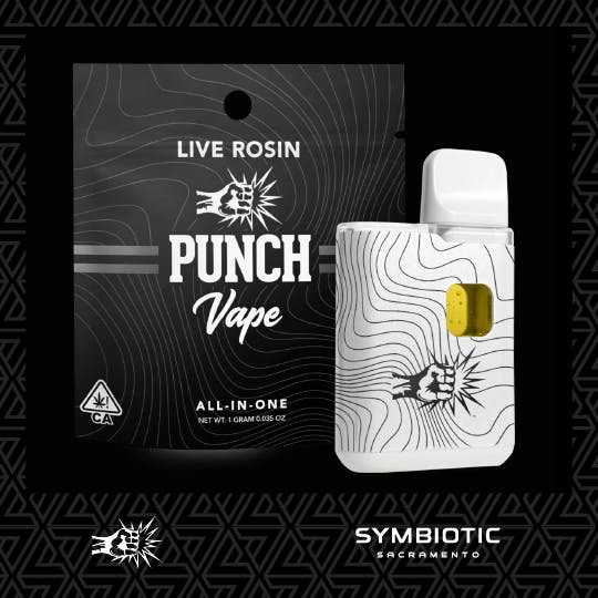 Punch Extracts — GDP