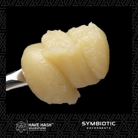 Have Hash — Cold Cure