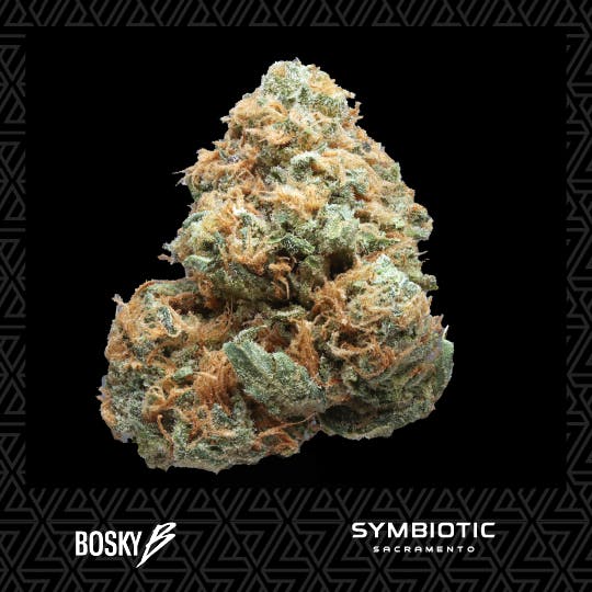 Bosky — Zelli