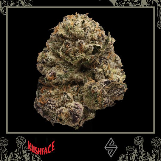 KushFace — The Tropics