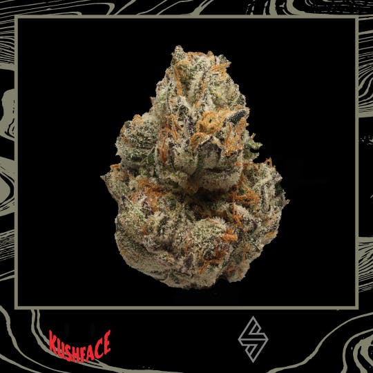 KushFace — Gx1000