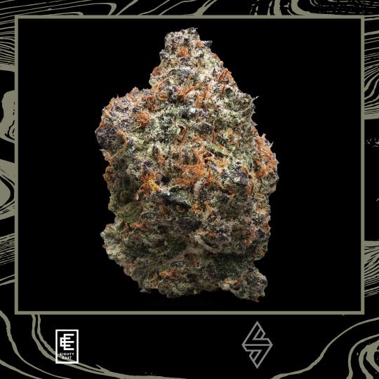 Eighty East — Papayahuasca Prism