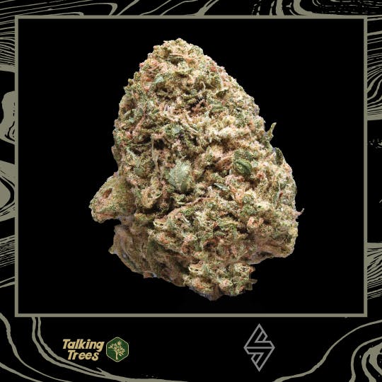 Talking Trees — Zkittlez
