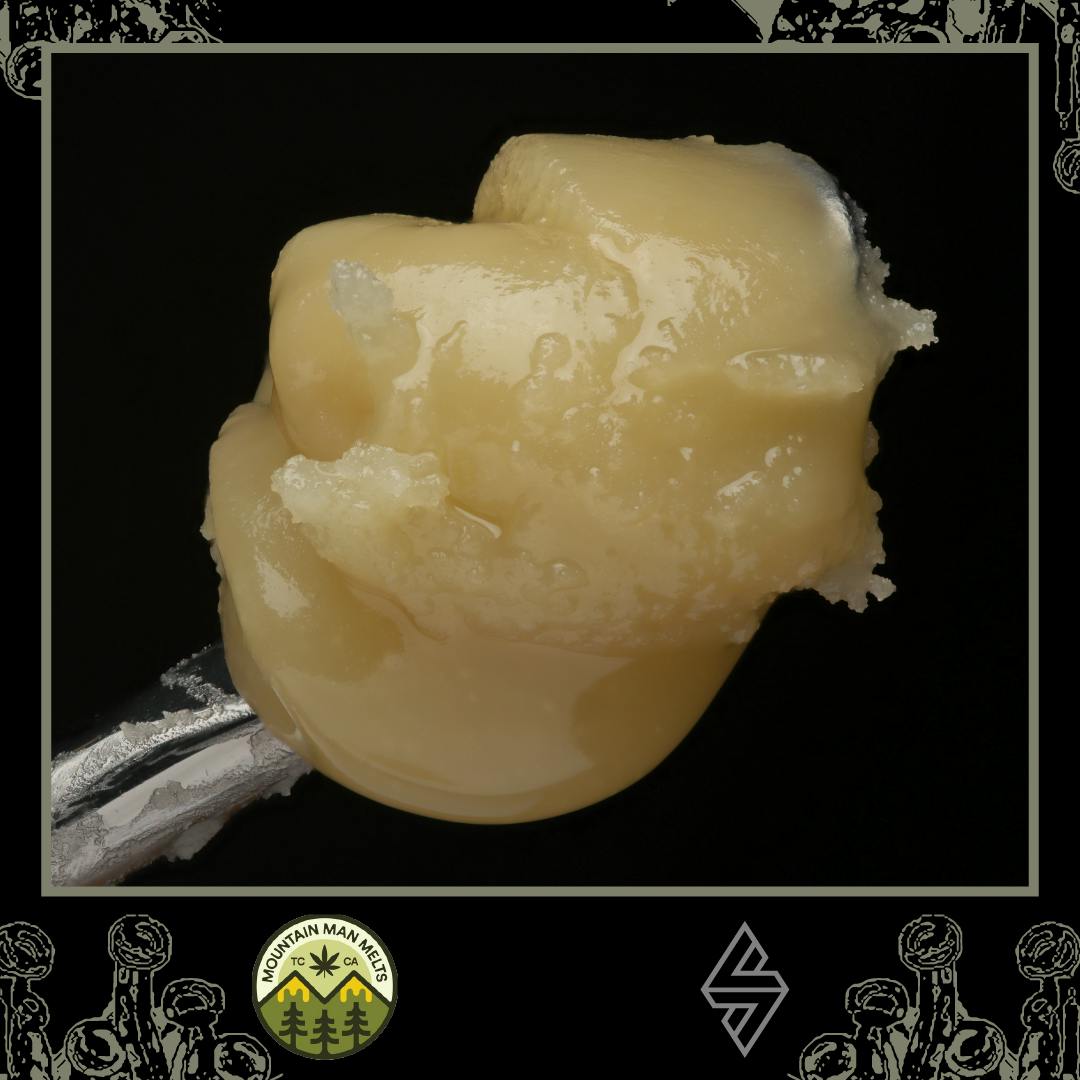 Mountain Man Melts: Secret Agent X