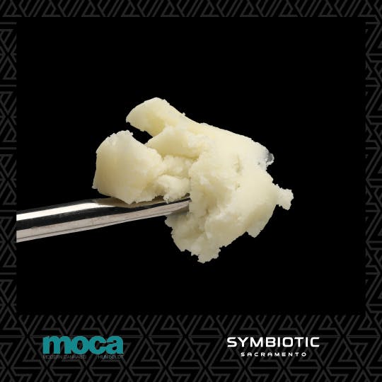 MOCA: Cold Cure