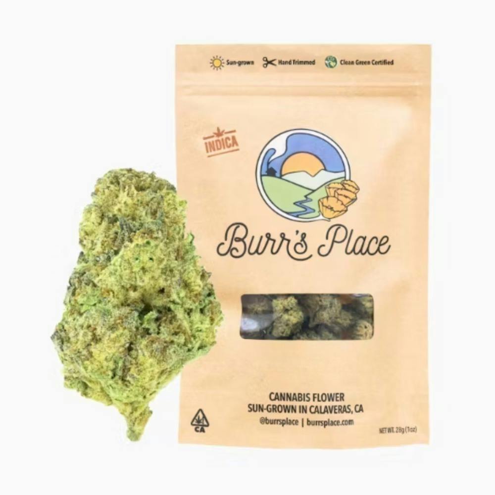 Burr's Place: GAZZURPLE - FLOWER - 3.5 g