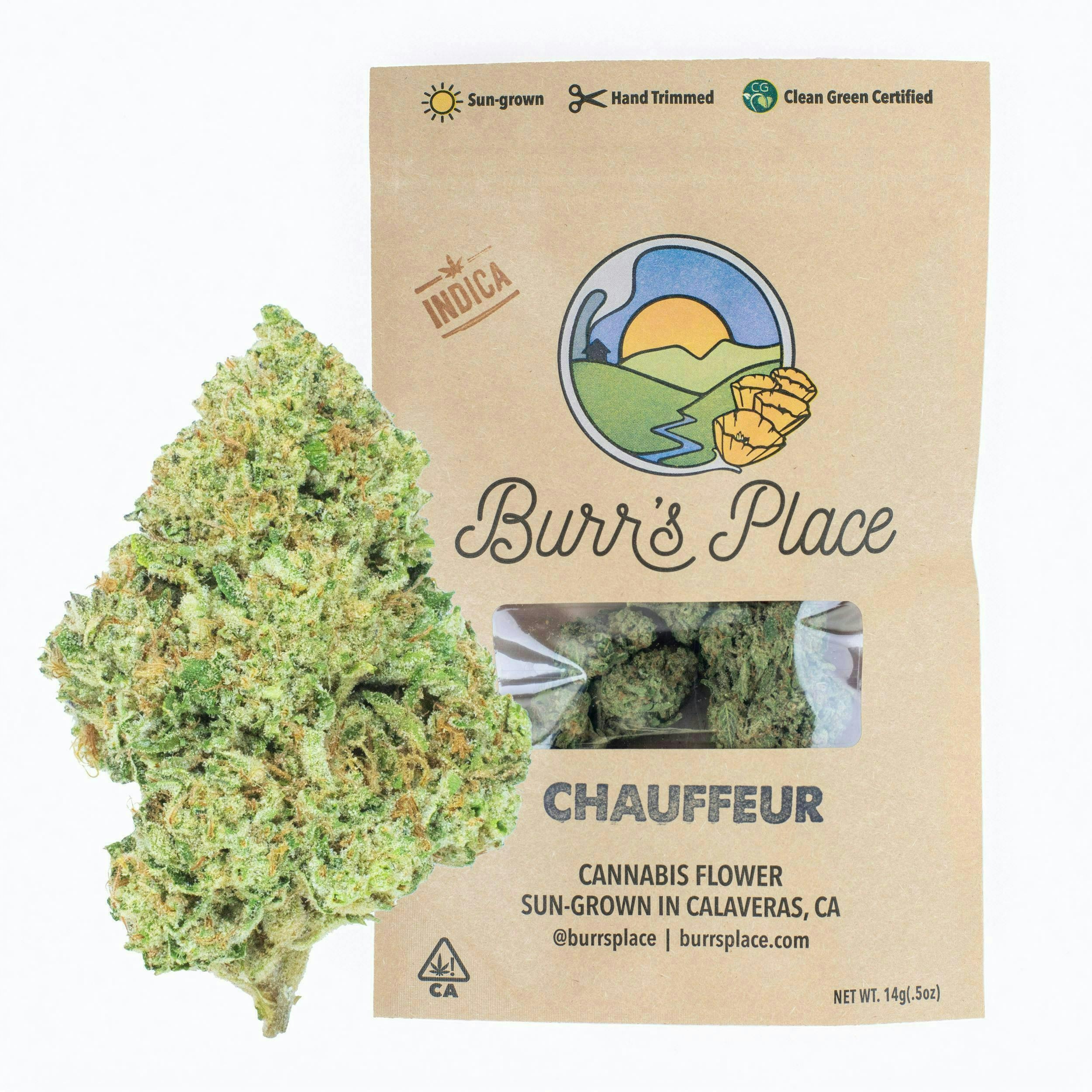 Burr's Place: CHAUFFEUR - FLOWER - 3.5 g