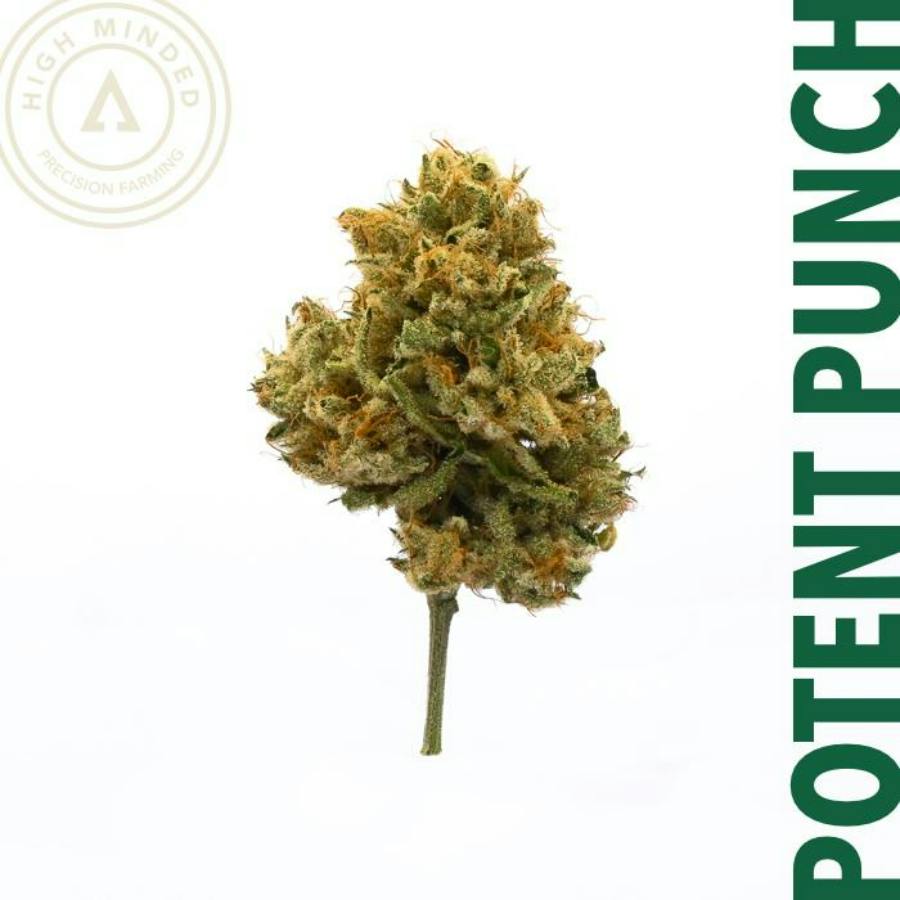 (DNU)Potent Punch